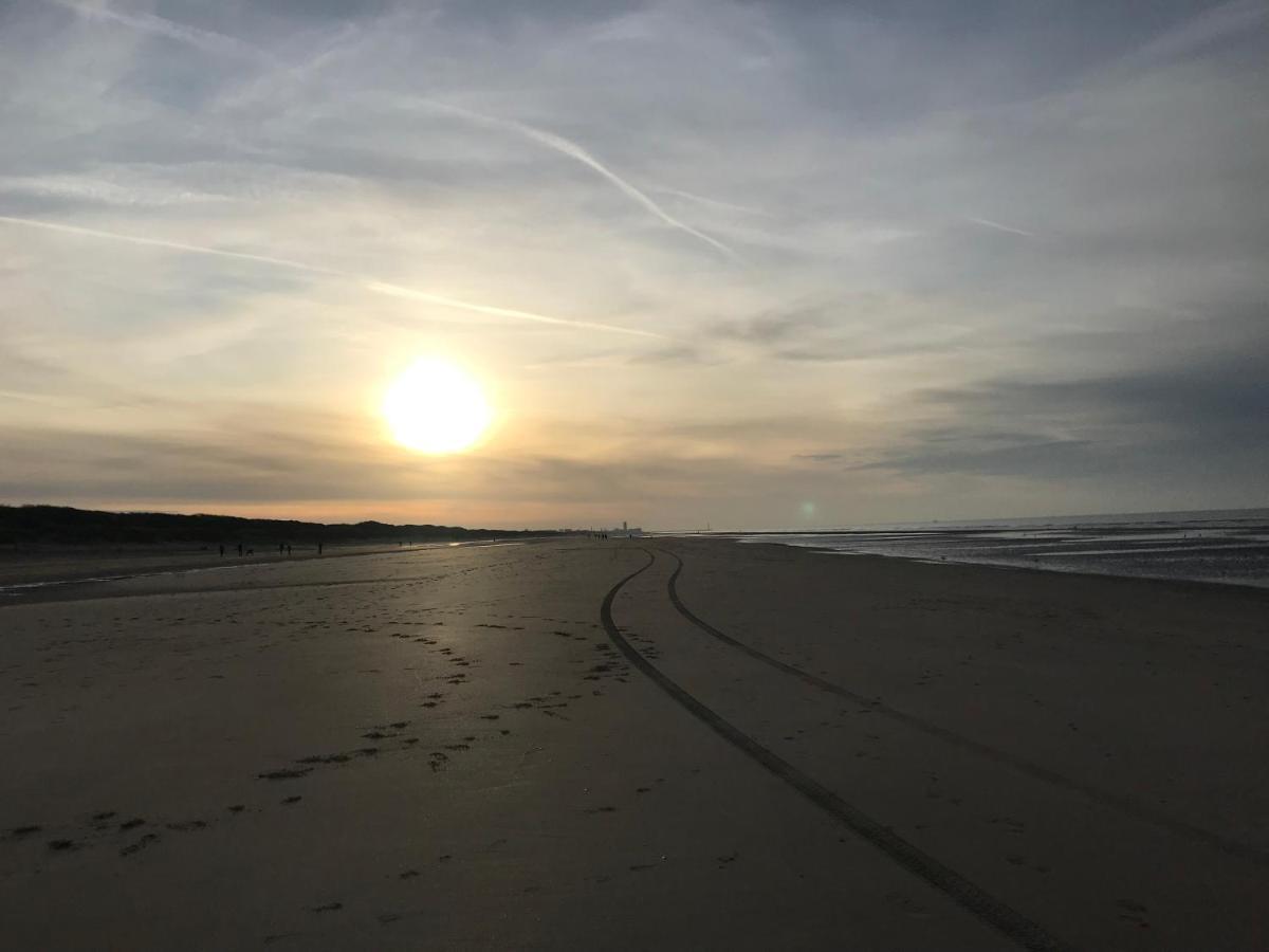Zeeparel Duplex Loft Leilighet Blankenberge Eksteriør bilde